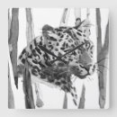 Search for cheetah print clocks Wildlife