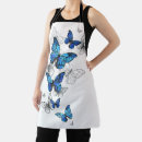 Search for flying aprons Moth