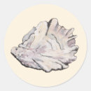 Search for oyster stickers Elegant