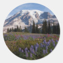 Search for ken stickers Usa