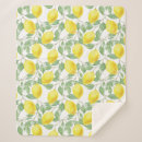 Search for lemon blankets Citrus