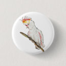 Search for cockatoo badges Watercolor