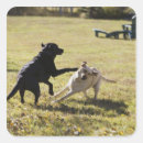Search for labrador image gift wrap Animal