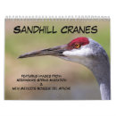 Search for apache office supplies Birds