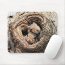 Search for squirrels mouse mats Forest