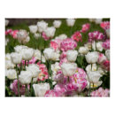 Search for bright days posters Nature