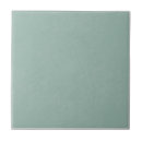Search for aqua color tiles Modern