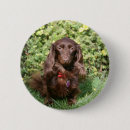 Search for long haired badges Bob and pam langrish