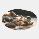 Search for sea lions stickers Nature