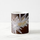 Search for slugs mugs Sea