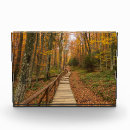 Search for mountain path Colourful