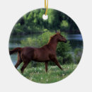 Search for thoroughbred horse christmas tree decorations Standing
