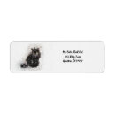 Search for kitty plates Trendy