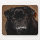 Search for wrinkle mouse mats Pet