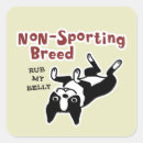 Search for boston terrier stickers Dogs