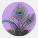 Search for indian peacock stickers Asian