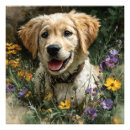 Search for summer colours posters For kids