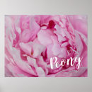 Search for rose lovers posters Pink