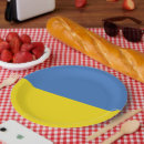Search for ukrainian plates Flag of ukraine