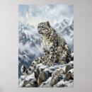 Search for snow leopard art Big cats
