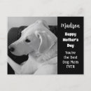 Search for cute mother postcards Mum
