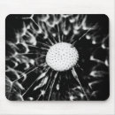 Search for dandelion mouse mats Nature