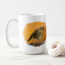 Search for robin redbreast mugs Wildlife