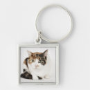 Search for portrait key rings Cat photography