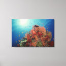 Search for hard canvas prints Underwater