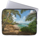 Search for maui electronics Coconut palm tree