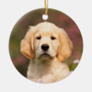 Search for hanging christmas tree decorations Dog