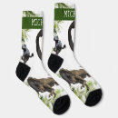 Search for raptor clothing Dinosaur