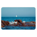 Search for sailing rectangular magnets Waves