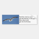 Search for soaring bumper stickers Flying