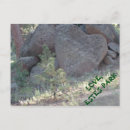 Search for estes park postcards Nature