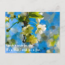 Search for customizeable postcards Unique