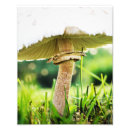 Search for shroom posters Nature