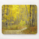 Search for autumn mouse mats Road