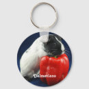 Search for cavy key rings Pet