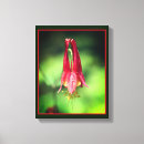 Search for vivid canvas prints Floral