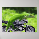 Search for pet gecko posters Animal