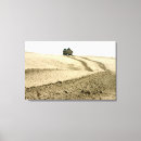Search for assault canvas prints Amphibious