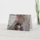 Search for monkey mothers day cards Baby