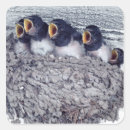 Search for swallow bird stickers Animal