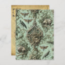 Search for insect postcards Floral