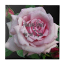 Search for grace tiles Rose