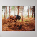 Search for forestry posters Woods