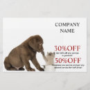 Search for daycare flyers Dog walker