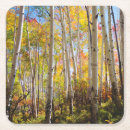 Search for 5 coasters Autumn
