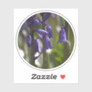 Search for sight stickers Nature